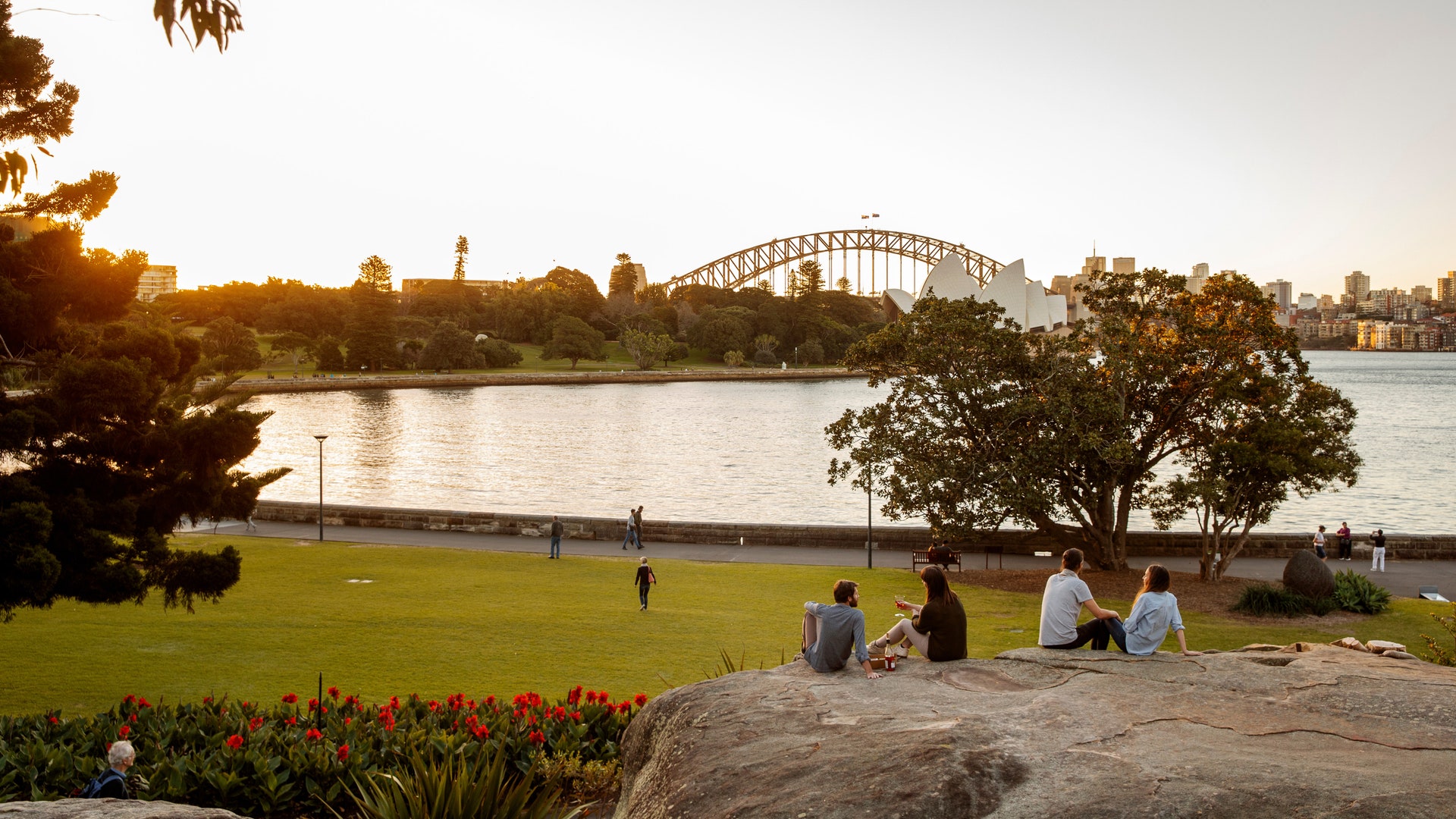 在悉尼皇家植物园欣赏到的景色