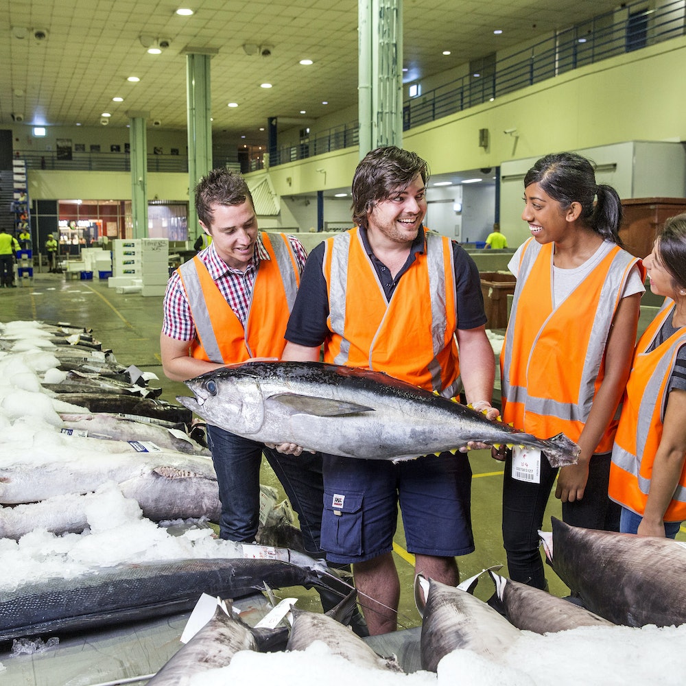 悉尼鱼市场刚刚捕获的海鲜