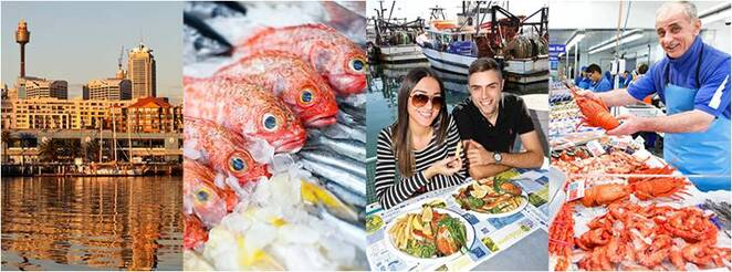 悉尼鱼市品味海鲜和庆祝渔业社区的好地方