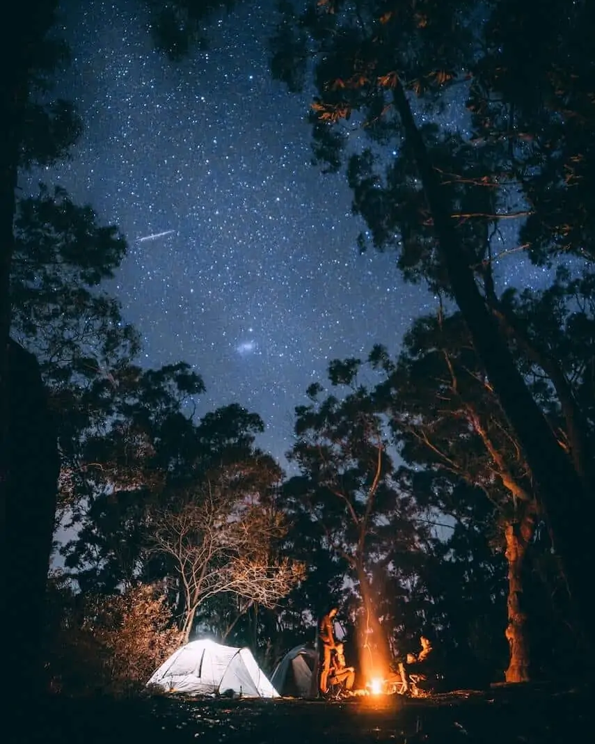 在星空下的澳大利亚森林露营