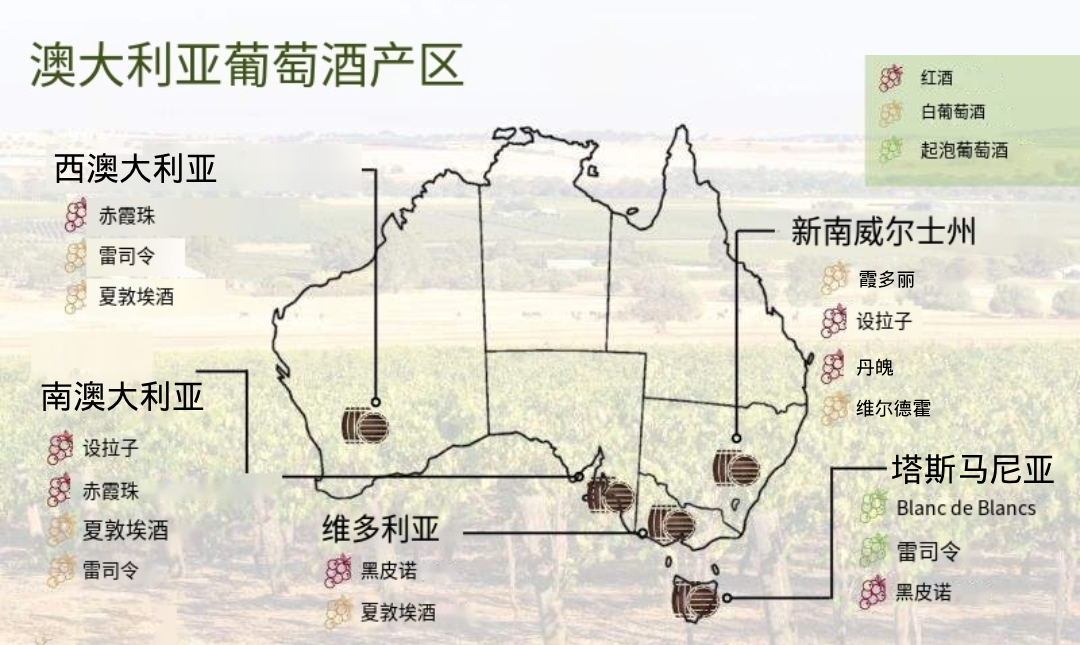 澳大利亚的葡萄酒产区